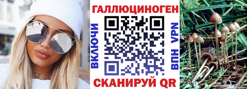 Галлюциногенные грибы мухоморы  Купить закладки  Северск 