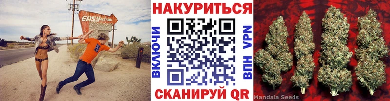 Бошки Шишки план  Купить где  Северск 